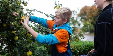 Leerling PITO van de eerste graad werkt in de tuin